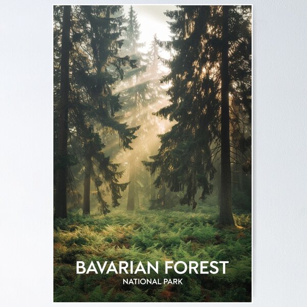 Item preview, Bavarian Forest National Park designed and sold by IvyRavyn.