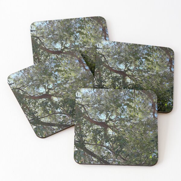 Item preview, Live oak trees Savannah Georgia designed and sold by maggiemuffin13.