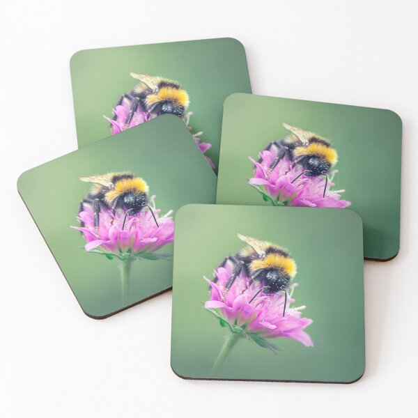 Item preview, Bumblebee perched on a Macedonian scabious flower designed and sold by Mihaela Limberea.