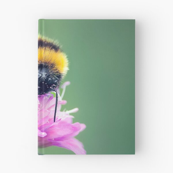 Item preview, Bumblebee perched on a Macedonian scabious flower designed and sold by Mihaela Limberea.