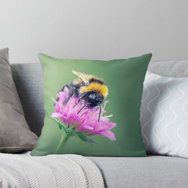 Item preview, Bumblebee perched on a Macedonian scabious flower designed and sold by Mihaela Limberea.