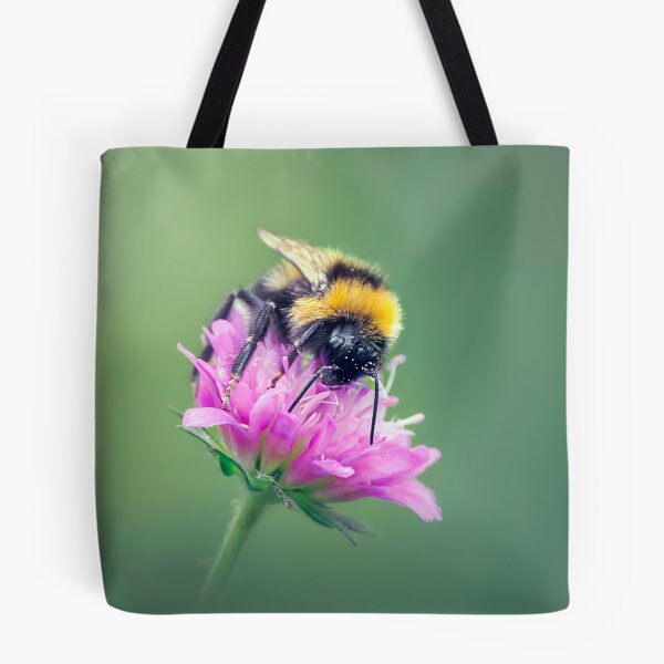 Item preview, Bumblebee perched on a Macedonian scabious flower designed and sold by Mihaela Limberea.