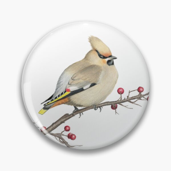 Item preview, Bohemian waxwing designed and sold by Holly Grogan Art.