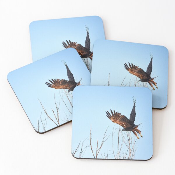 Item preview, White-tailed Eagle (Haliaeetus albicilla) designed and sold by Andreas Koerner.