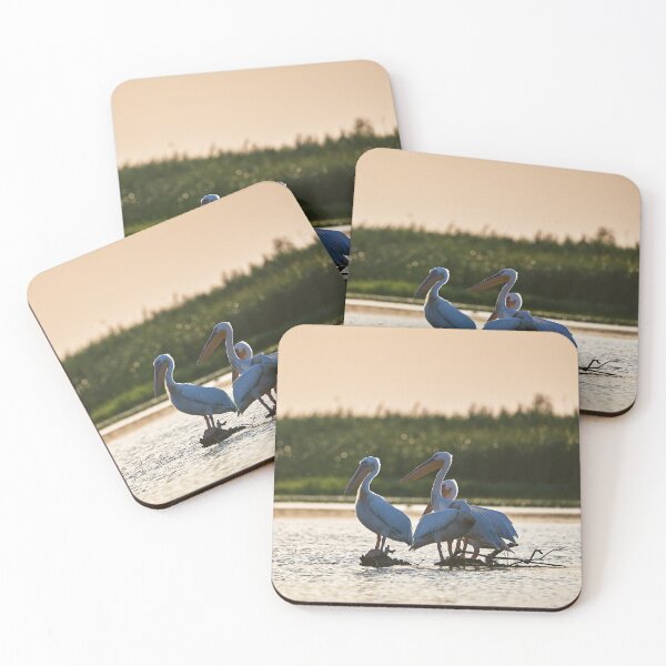 Item preview, Pink Pelican (Pelecanus onocrotalus) designed and sold by Andreas Koerner.