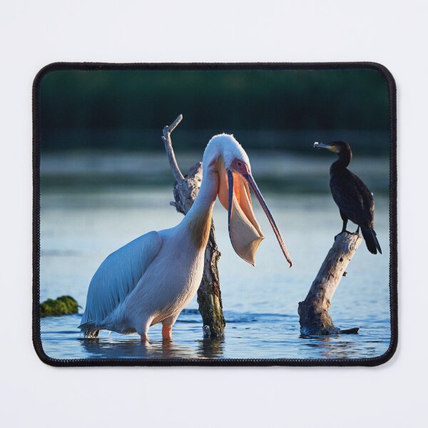 Item preview, I have nothing designed and sold by Andreas Koerner.
