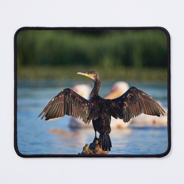Item preview, sunbathing designed and sold by Andreas Koerner.