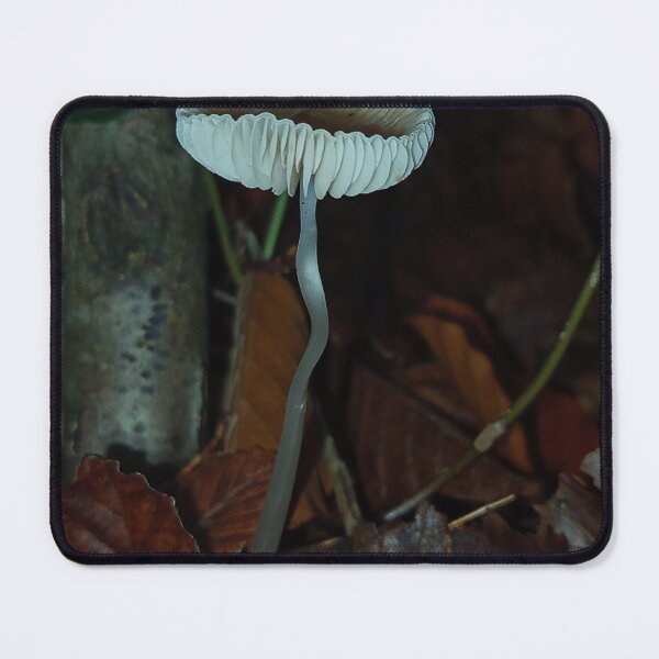 Item preview, Mycena mushroom designed and sold by burneygreen.