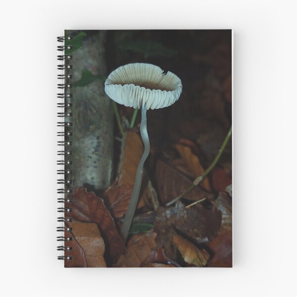 Item preview, Mycena mushroom  designed and sold by burneygreen.