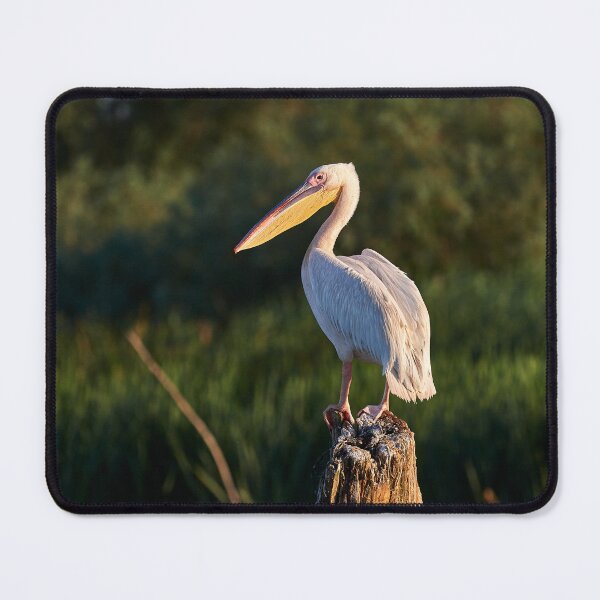 Item preview, Viewpoint designed and sold by Andreas Koerner.