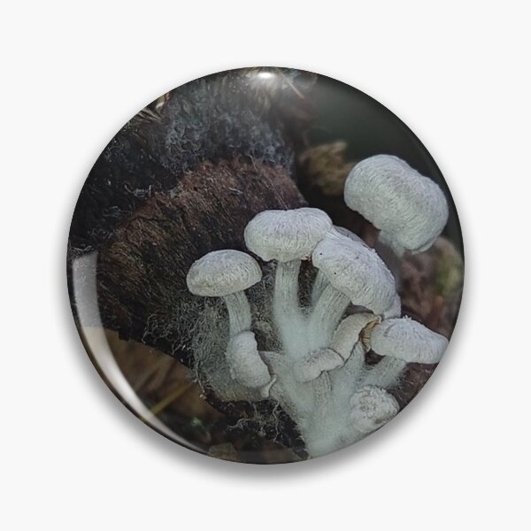 Item preview, Piggyback mushrooms  designed and sold by burneygreen.