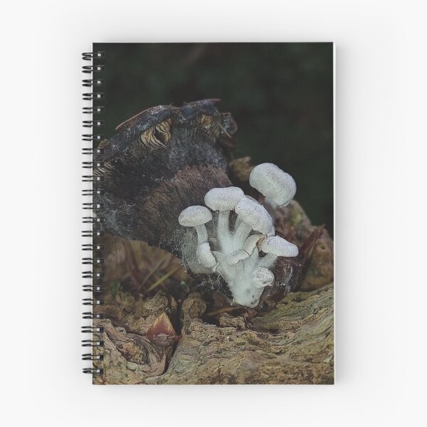 Item preview, Piggyback mushrooms  designed and sold by burneygreen.