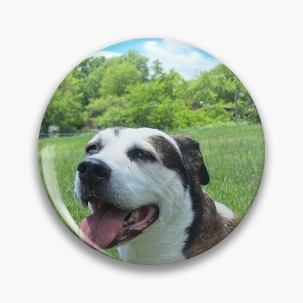 Item preview, Shinta is a wonderful dog and my heart. She is a Pit-boxer and loves to sunbathe. designed and sold by BigRedButtons.