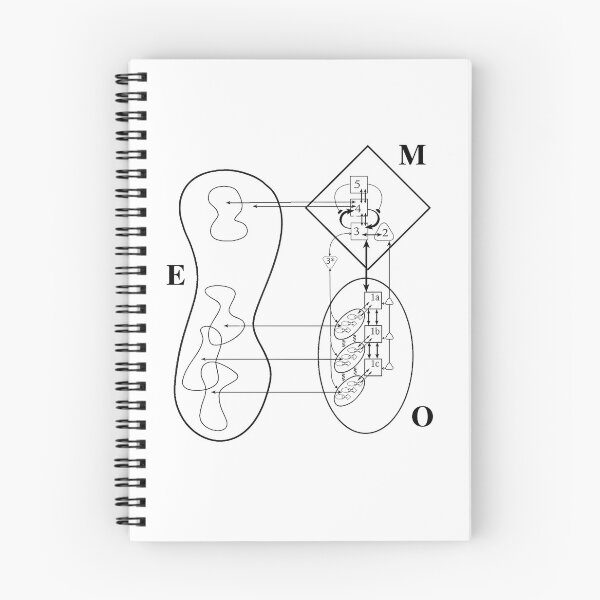 Item preview, Viable Systems Model designed and sold by ReFuture.