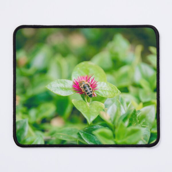 Item preview, Bee Pollinating Vibrant Magenta Flower - Lush Green Garden Macro designed and sold by MDB_Shop.