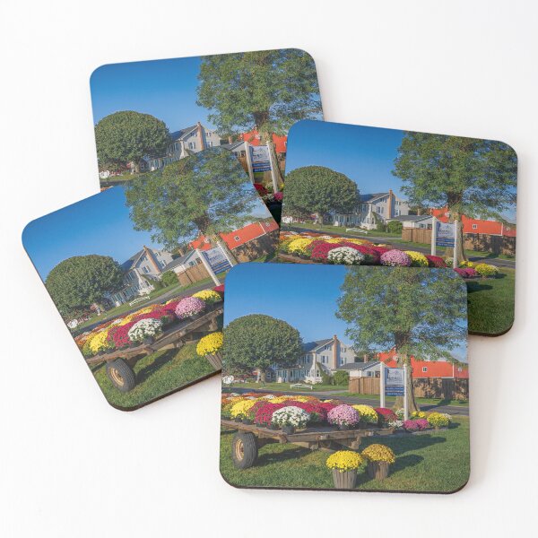 Item preview, Pot Mums in Pennsylvania  designed and sold by Viv Thompson Photography .