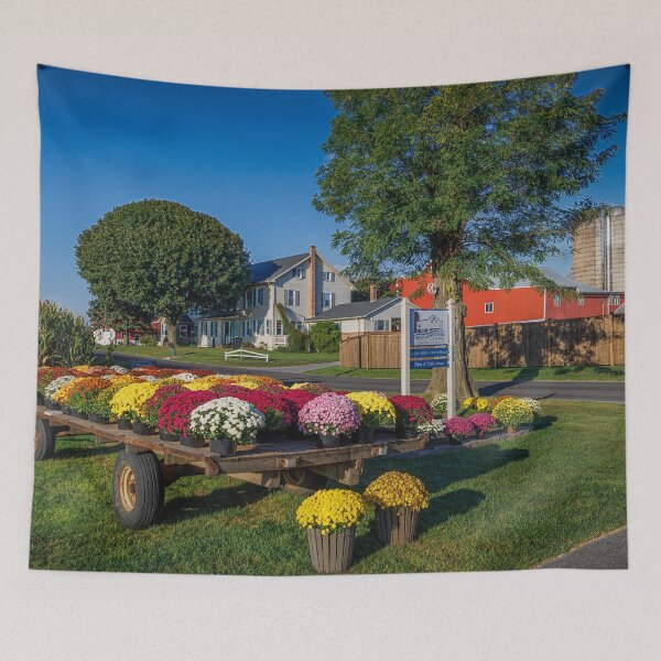 Item preview, Pot Mums in Pennsylvania  designed and sold by Viv Thompson Photography .