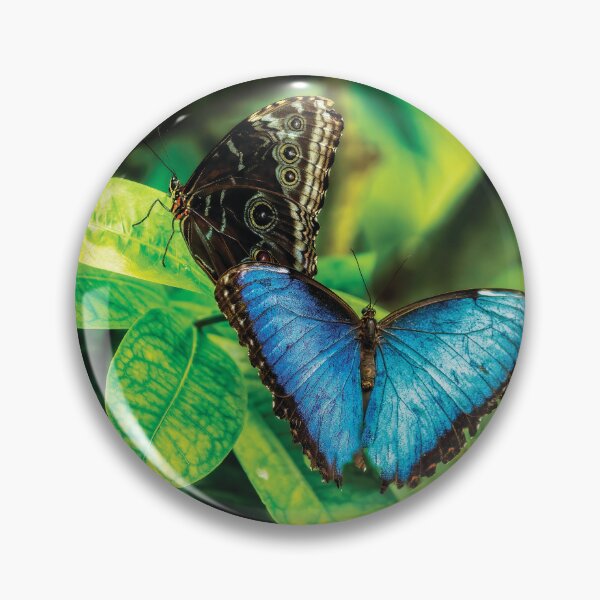 Item preview, The Blue Morpho Butterfly designed and sold by Kay Brewer.