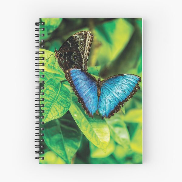 Item preview, The Blue Morpho Butterfly designed and sold by Kay Brewer.