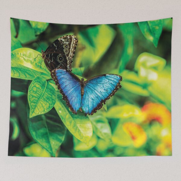 Item preview, The Blue Morpho Butterfly designed and sold by Kay Brewer.