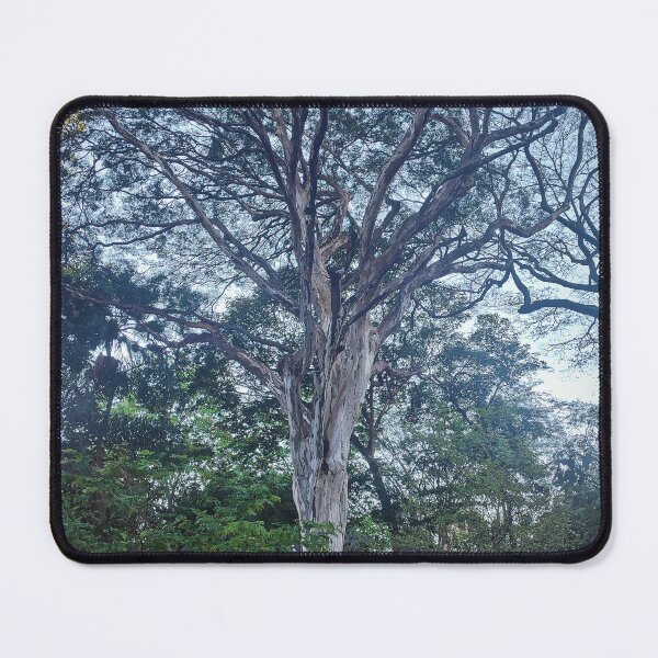 Item preview, Arvore designed and sold by MaxCardoso.