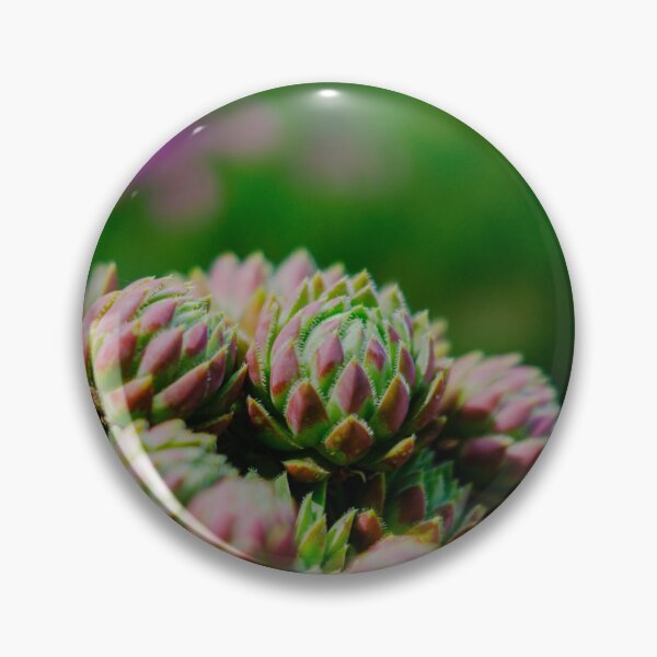 Item preview, Red-Tipped Succulent Rosettes in Vivid Velvia Colors designed and sold by Pix4Japan.