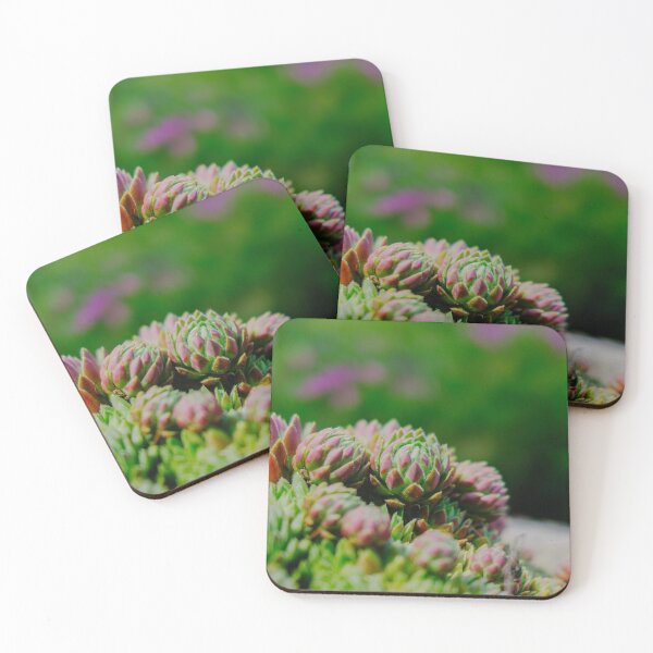 Item preview, Red-Tipped Succulent Rosettes in Vivid Velvia Colors designed and sold by Pix4Japan.