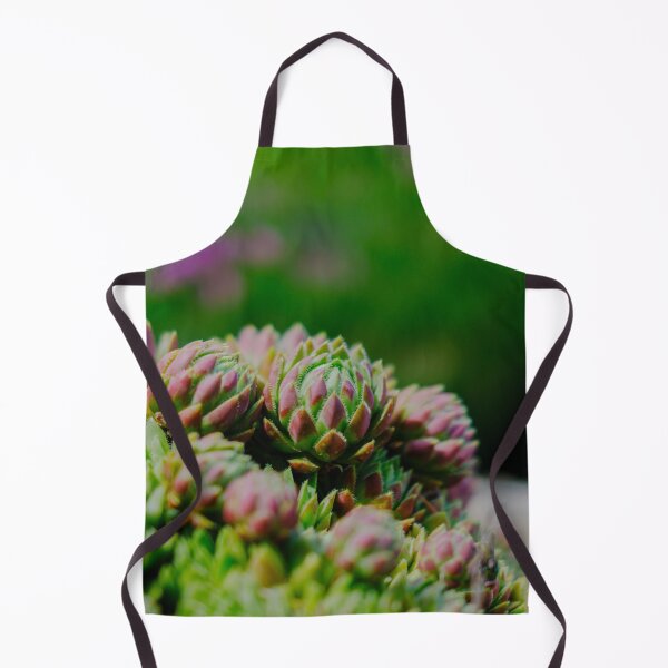 Item preview, Red-Tipped Succulent Rosettes in Vivid Velvia Colors designed and sold by Pix4Japan.