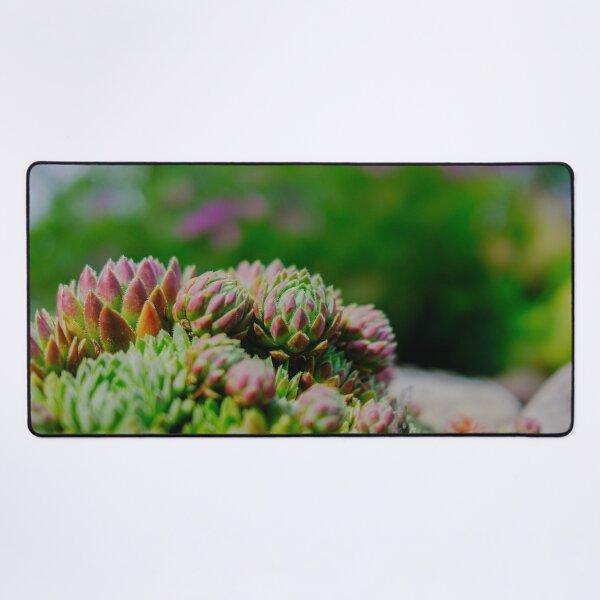 Item preview, Red-Tipped Succulent Rosettes in Vivid Velvia Colors designed and sold by Pix4Japan.