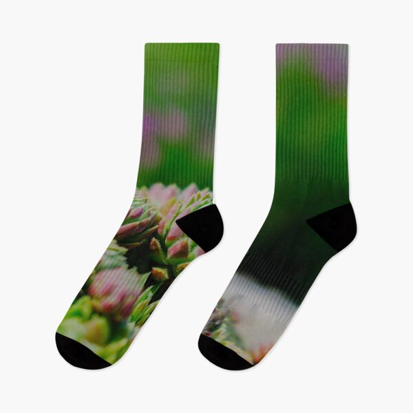 Item preview, Red-Tipped Succulent Rosettes in Vivid Velvia Colors designed and sold by Pix4Japan.