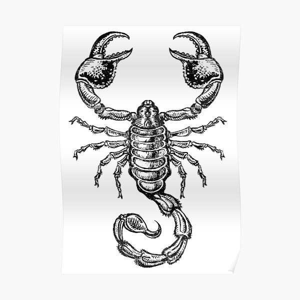 Scorpio Poster