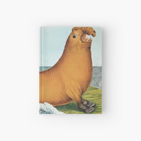 Fat Seal Gifts Merchandise Redbubble