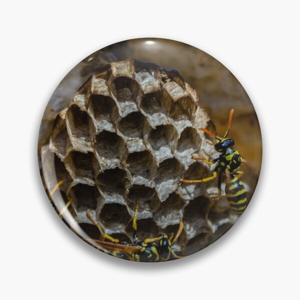 Item preview, Wasp Nest Close-Up With Yellow And Black Wasps On Hexagonal Honeycomb In Rough Wall designed and sold by Nmallia.