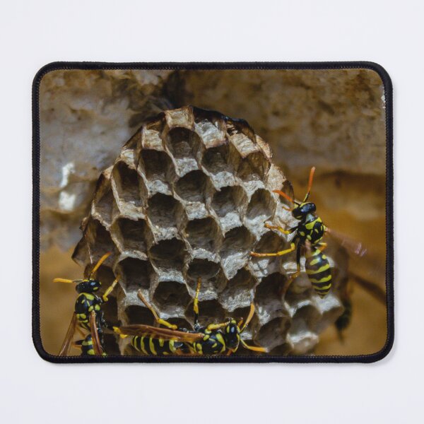 Item preview, Wasp Nest Close-Up With Yellow And Black Wasps On Hexagonal Honeycomb In Rough Wall designed and sold by Nmallia.