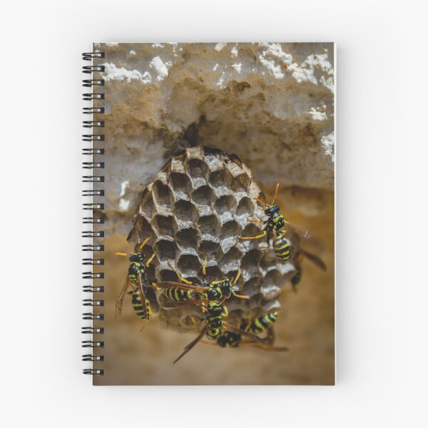 Item preview, Wasp Nest Close-Up With Yellow And Black Wasps On Hexagonal Honeycomb In Rough Wall designed and sold by Nmallia.