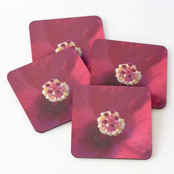 Item preview, Hibiscus Flower Closeup - Stamen, Stigma, Anthers, and Colors!!! designed and sold by Petalgrain.