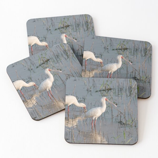 Item preview, Silence of the Marsh — African Spoonbill at First Light designed and sold by DavideAntoniani.