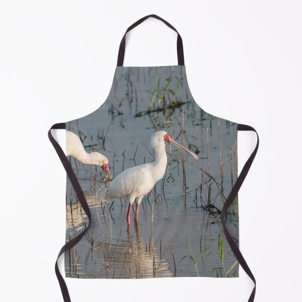 Item preview, Silence of the Marsh — African Spoonbill at First Light designed and sold by DavideAntoniani.