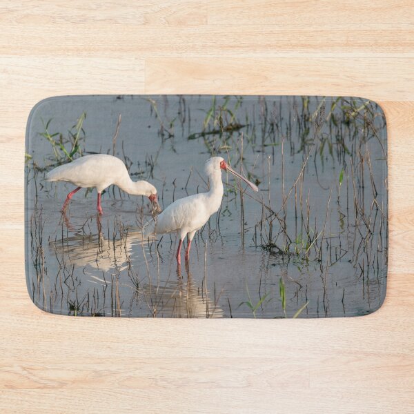 Item preview, Silence of the Marsh — African Spoonbill at First Light designed and sold by DavideAntoniani.