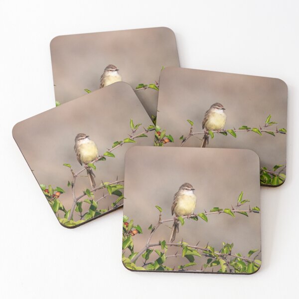 Item preview, Thorns & Feathers — Tawny‑flanked Prinia at Dawn, Etosha designed and sold by DavideAntoniani.