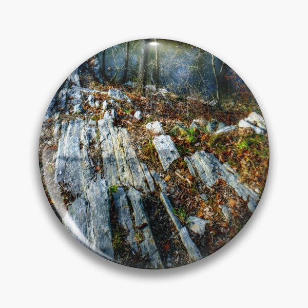 Item preview, Panorama 3170: Morris Arboretum of the University of Pennsylvania designed and sold by bruhinb.