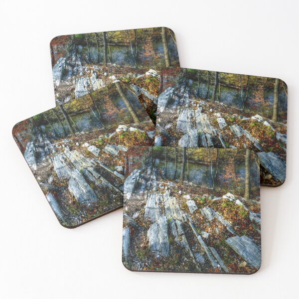 Item preview, Panorama 3170: Morris Arboretum of the University of Pennsylvania designed and sold by bruhinb.