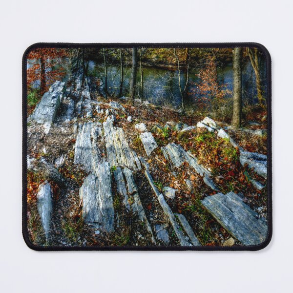 Item preview, Panorama 3170: Morris Arboretum of the University of Pennsylvania designed and sold by bruhinb.