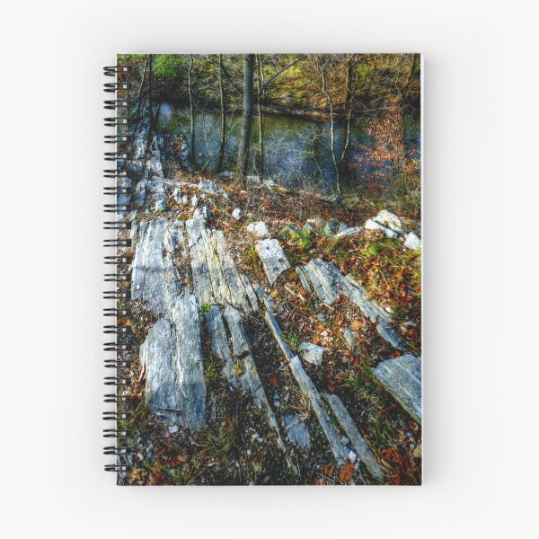 Item preview, Panorama 3170: Morris Arboretum of the University of Pennsylvania designed and sold by bruhinb.