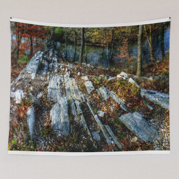 Item preview, Panorama 3170: Morris Arboretum of the University of Pennsylvania designed and sold by bruhinb.