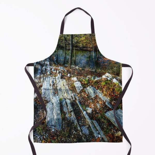 Item preview, Panorama 3170: Morris Arboretum of the University of Pennsylvania designed and sold by bruhinb.