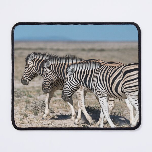Item preview, Stride of the Stripes — Three Zebras in Step, Etosha designed and sold by DavideAntoniani.