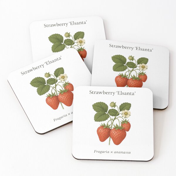 Item preview, Strawberry ‘Elsanta’ – Fragaria × ananassa designed and sold by BloomKind.