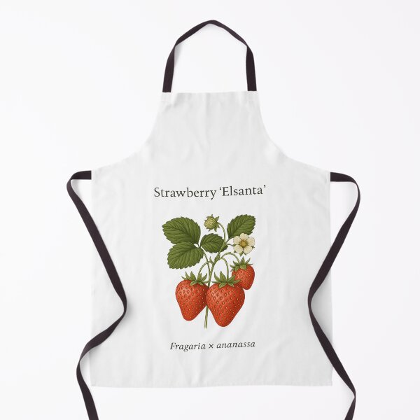 Item preview, Strawberry ‘Elsanta’ – Fragaria × ananassa designed and sold by BloomKind.