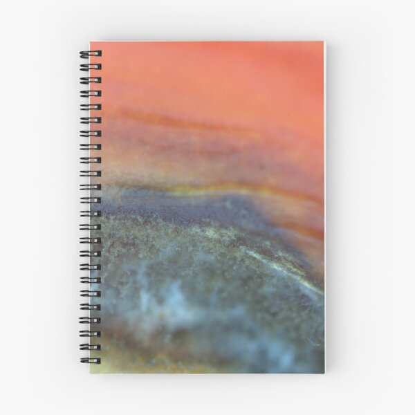 Item preview, Moldy Tomato Microscope Photo! (Gray Mold Hyphae) designed and sold by Petalgrain.